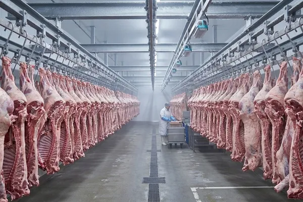 Halal Lammfleisch – Großhandel vom Schlachthof